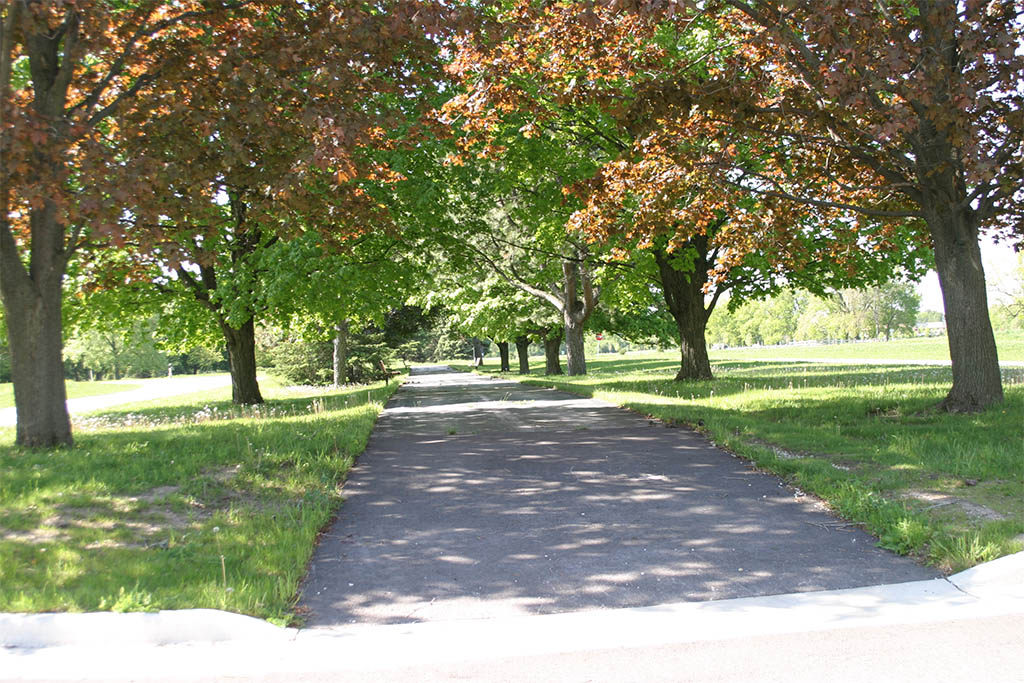 Individual Subdivision Sliders_BRIGHTWATER_0002_BW_3877 Siepmann